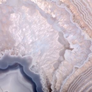 Meet your Posher, Shawn